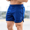 Leichte sportshorts für männer – atmungsaktive trainingsbekleidung für fitness und outdoor-aktivitäten